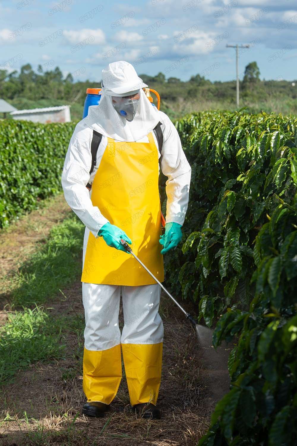 Agricultura
